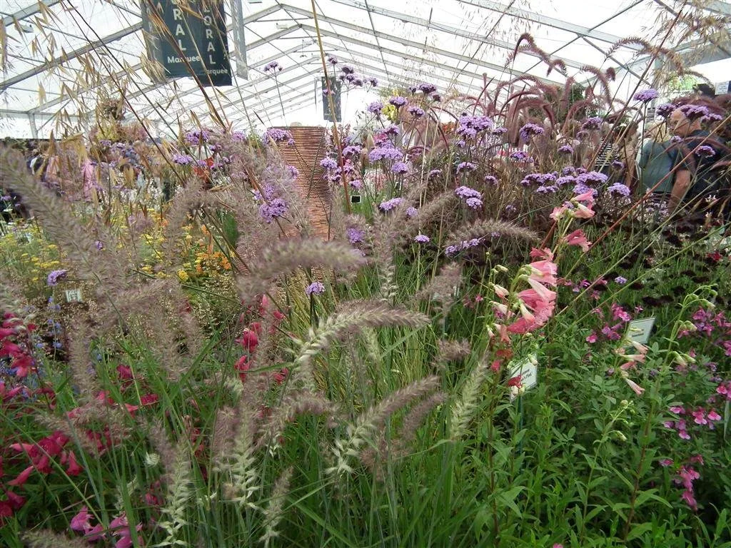 Floral marquee in the long water area 58